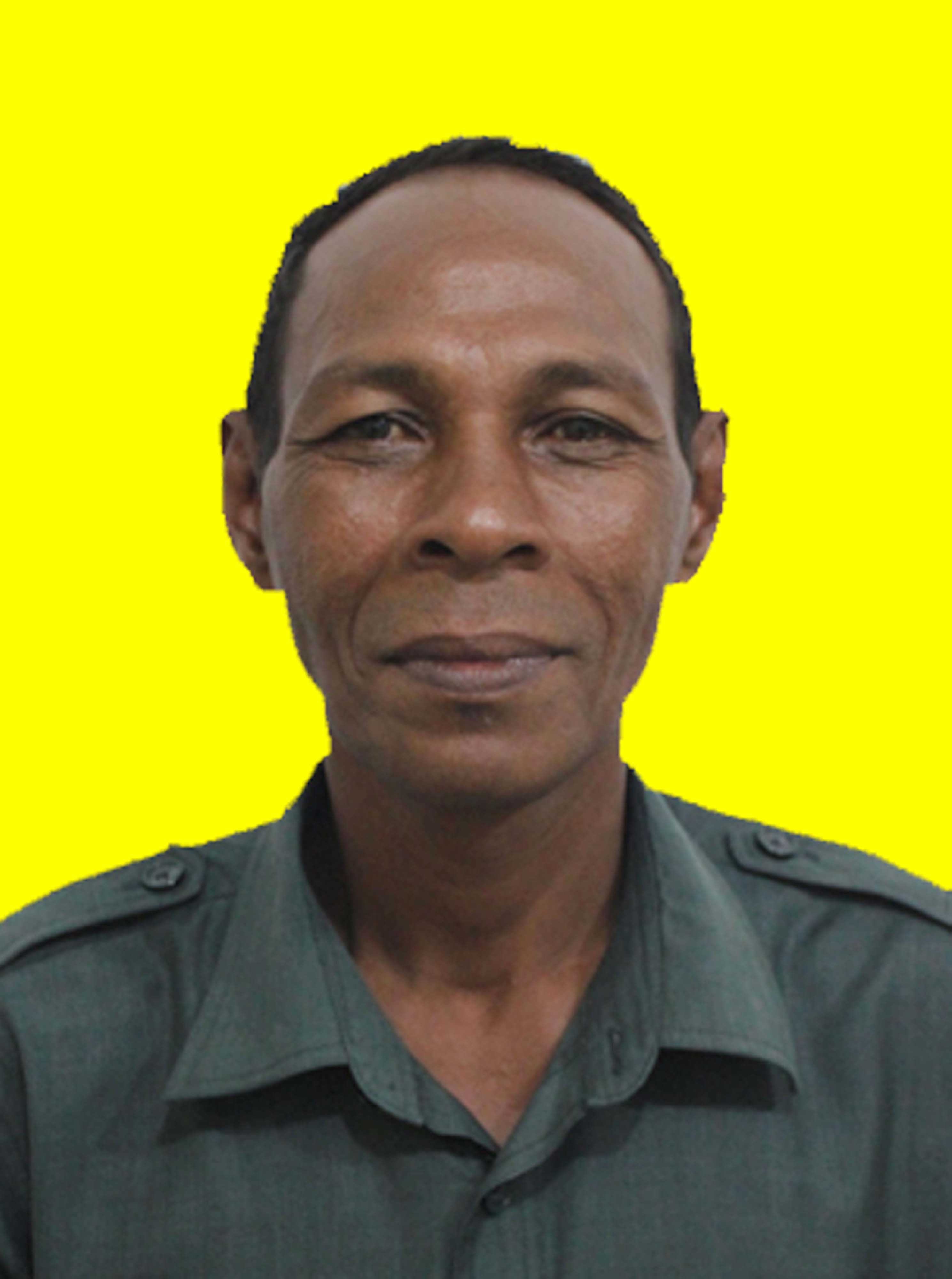 avt